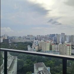 Avenue South Residence (D3), Apartment #535375561